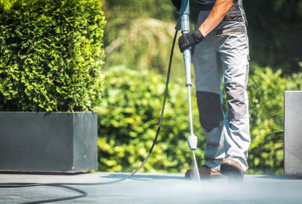 Best Gutter Cleaning  in South Pasadena, FL